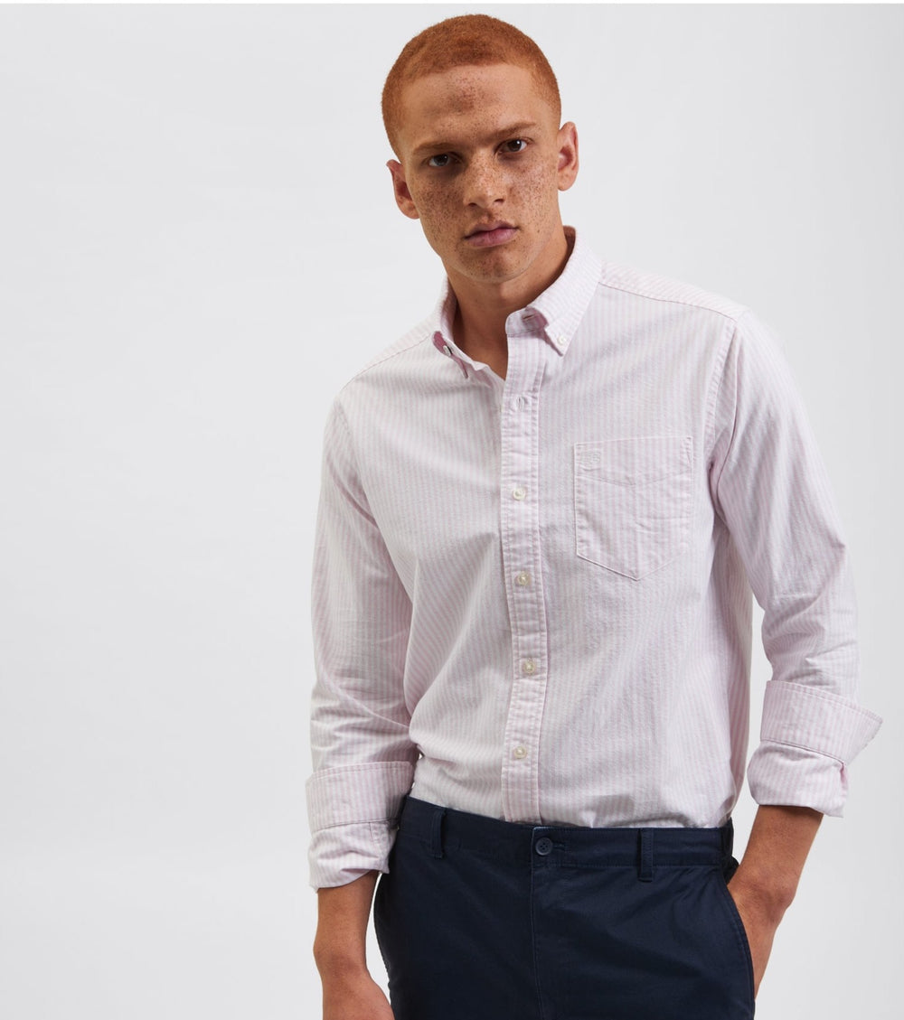 Ben Sherman Brighton Oxford Shirts Pink Stripes | 7693251-TZ